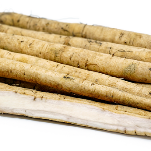 fresh Gobo root / 新鲜图案片根