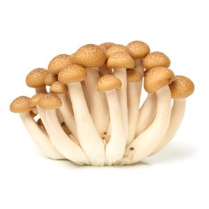 Brown beech mushroom / 棕色山毛榉蘑菇 150g