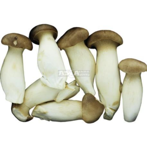 King oyster mushroom / 鸡腿蘑菇 200g