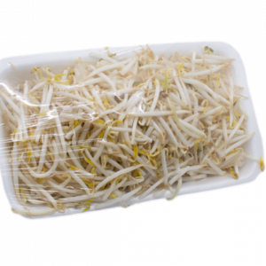 Beansprouts / 豆芽