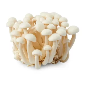 Shemeji white mushroom / 谢梅吉白蘑菇 150g