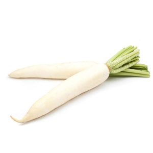 Fresh Daikon radish / 新鲜白萝卜