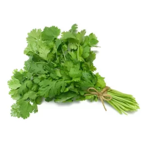 Coriander - 香菜