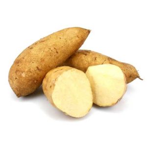 Sweet potato white - 红薯白