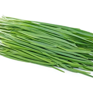 Chives - 细香葱
