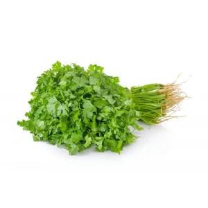 Coriander - 香菜